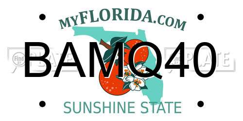 BAMQ40 Florida License Plate