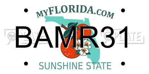 BAMR31 Florida License Plate