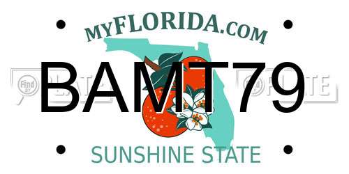 BAMT79 Florida License Plate