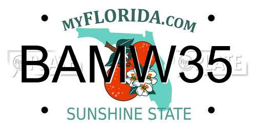 BAMW35 Florida License Plate