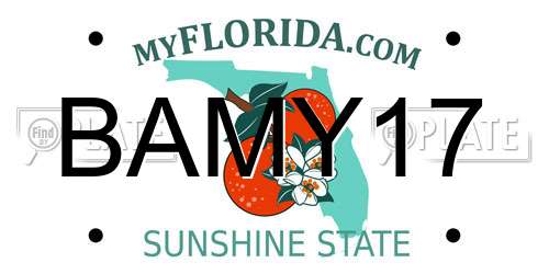 BAMY17 Florida License Plate