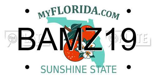 BAMZ19 Florida License Plate