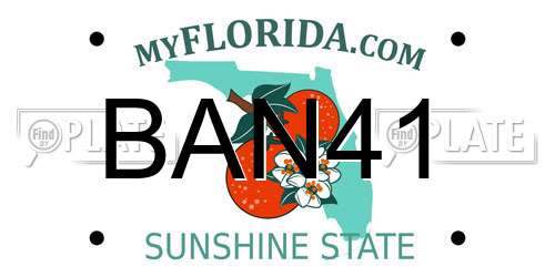 BAN41 Florida License Plate