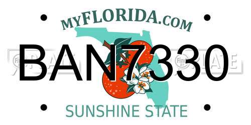 BAN7330 Florida License Plate