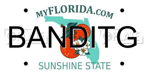 BANDITG Florida License Plate