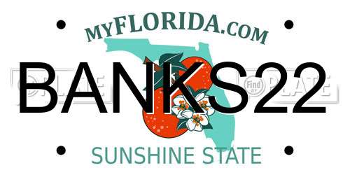 BANKS22 Florida License Plate