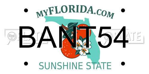 BANT54 Florida License Plate