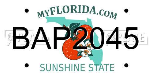 BAP2045 Florida License Plate