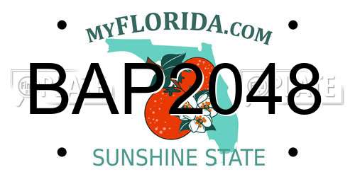BAP2048 Florida License Plate