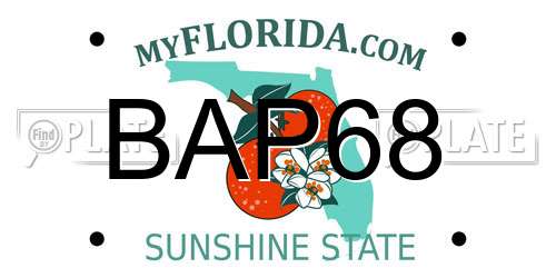 BAP68 Florida License Plate