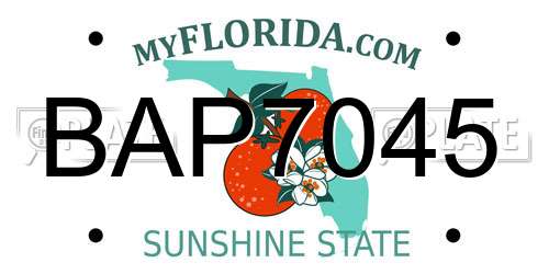 BAP7045 Florida License Plate