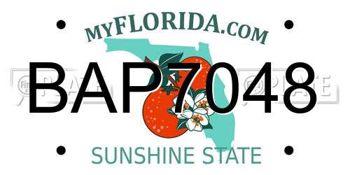 BAP7048 Florida License Plate