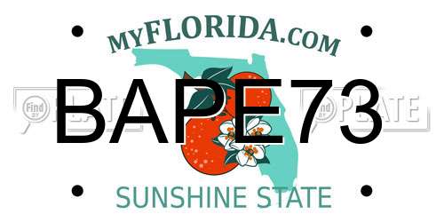 BAPE73 Florida License Plate