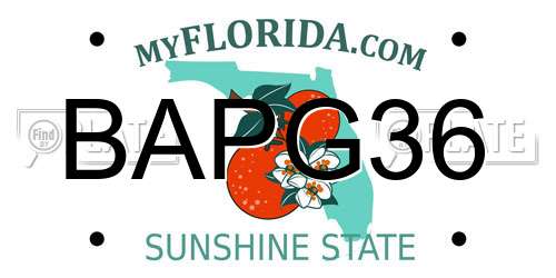 BAPG36 Florida License Plate
