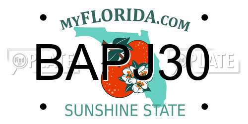 BAPJ30 Florida License Plate