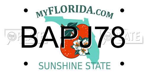 BAPJ78 Florida License Plate