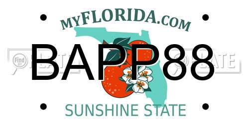 BAPP88 Florida License Plate