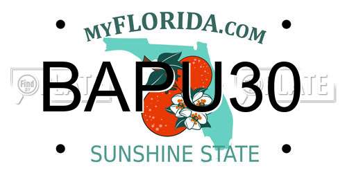 BAPU30 Florida License Plate