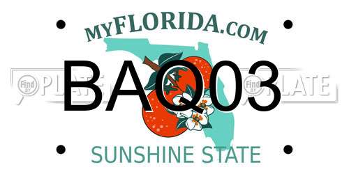 BAQ03 Florida License Plate