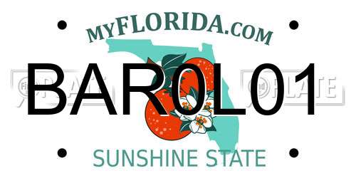 BAR0L01 Florida License Plate