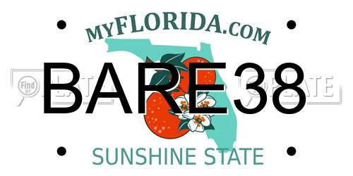 BARE38 Florida License Plate