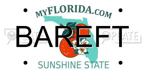 BAREFT Florida License Plate