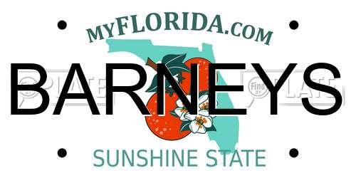 BARNEYS Florida License Plate