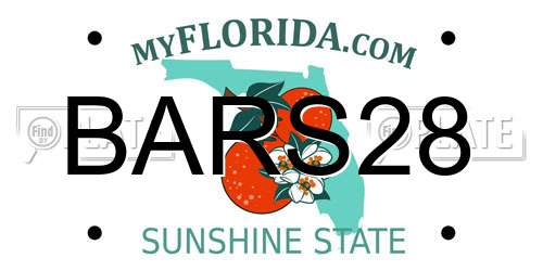 BARS28 Florida License Plate