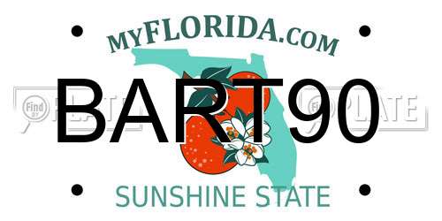 BART90 Florida License Plate