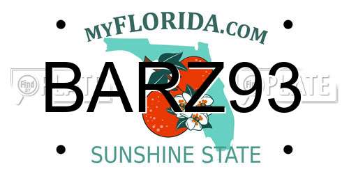 BARZ93 Florida License Plate