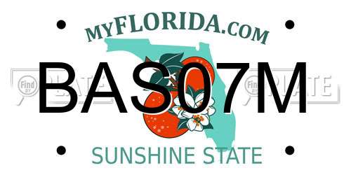 BAS07M Florida License Plate