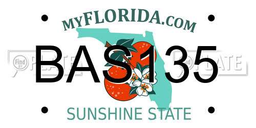 BAS135 Florida License Plate