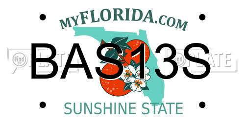 BAS13S Florida License Plate