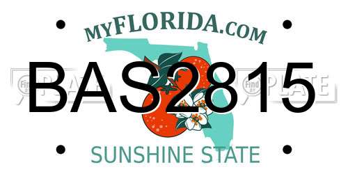 BAS2815 Florida License Plate