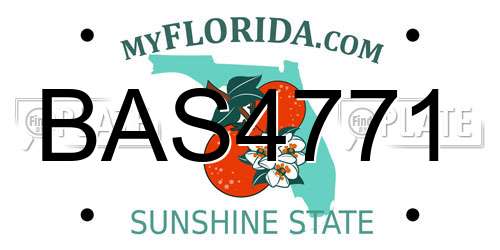 BAS4771 Florida License Plate