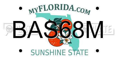 BAS68M Florida License Plate
