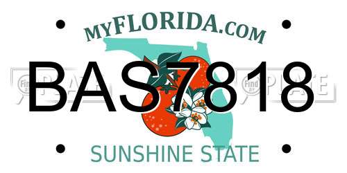 BAS7818 Florida License Plate