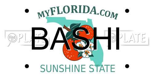 BASHI Florida License Plate