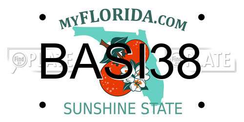BASI38 Florida License Plate