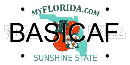 BASICAF Florida License Plate
