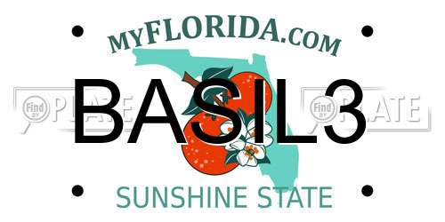 BASIL3 Florida License Plate