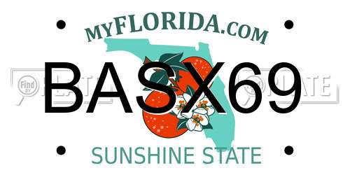 BASX69 Florida License Plate