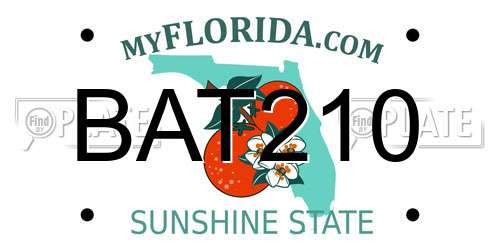 BAT210 Florida License Plate