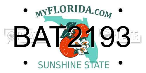 BAT2193 Florida License Plate