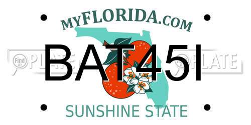 BAT45I Florida License Plate