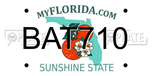 BAT710 Florida License Plate