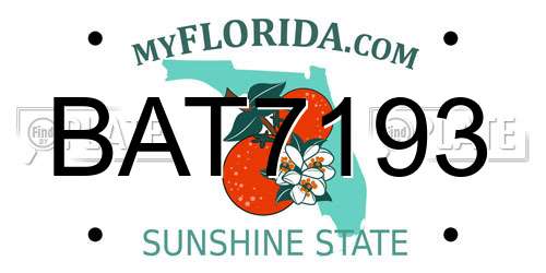 BAT7193 Florida License Plate