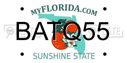 BATQ55 Florida License Plate