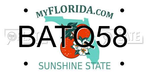BATQ58 Florida License Plate