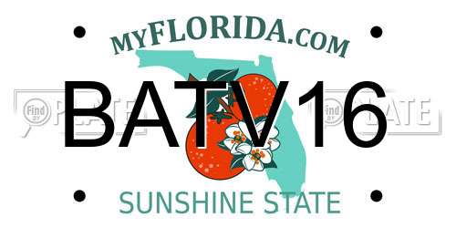 BATV16 Florida License Plate